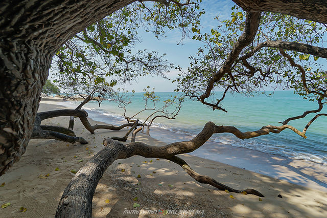 หาดวงศ์อมาตย์ นาเกลือซ.18 หาดที่เคยลับ
