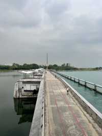 Marina barrage หลังคาสีเขียวของสิงคโปร์ 💚