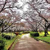 平和公園