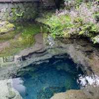 【忍野八海】富士山の湧水でできた8つの池