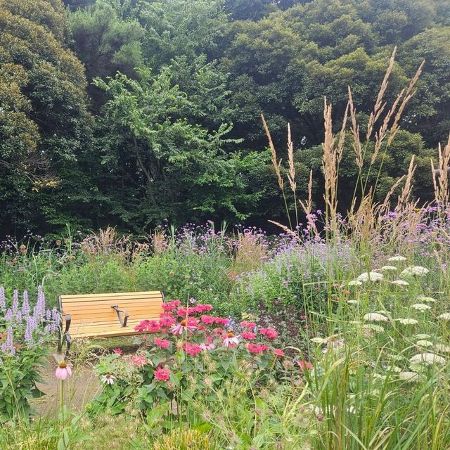 東京都心最大嘅公園：代代木公園隨意遊