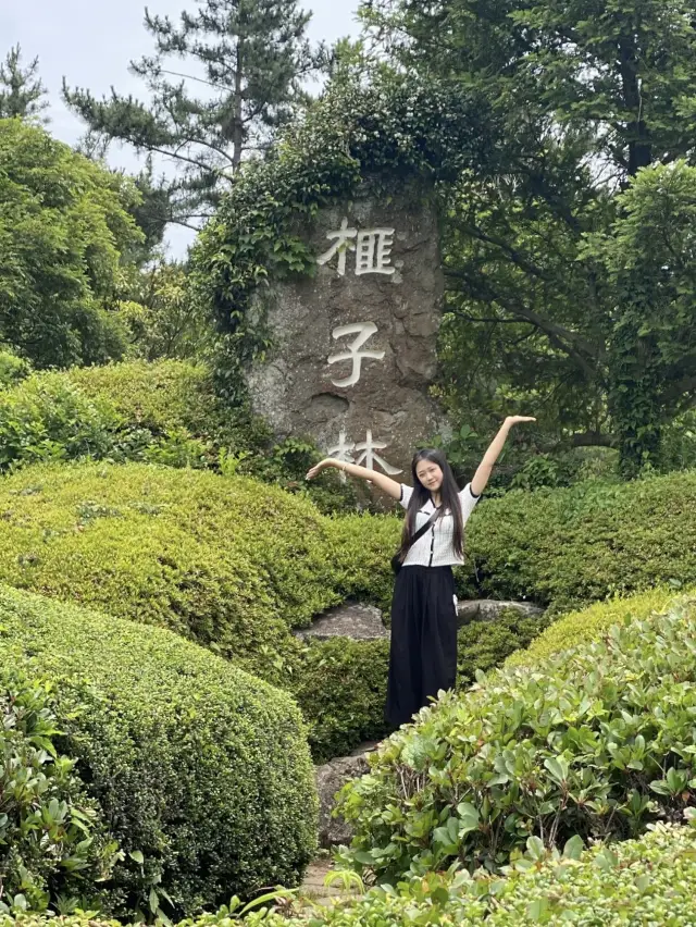 머릿속까지 맑아지는, 제주도 비자림🌴🌳🌲