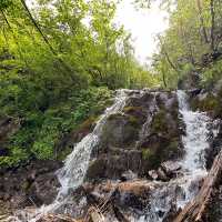 【山梨】いざ夏山へ！広河原から白根御池までの登山道