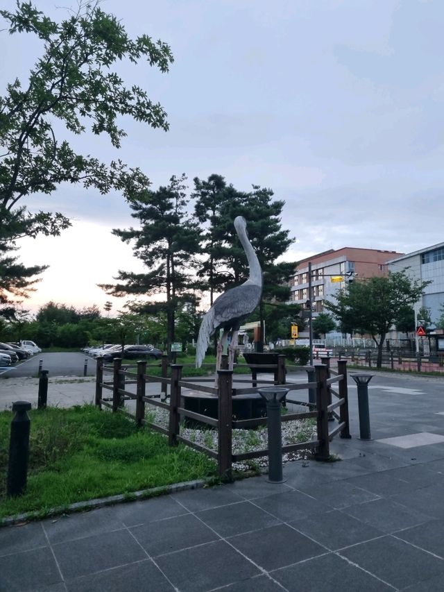 야생조류생태공원에서의 플로깅
