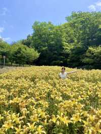 【神戸布引ハーブ園🌿ロープウェイ🚡】