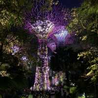 A Botanical Wonderland and Visual Extravaganz