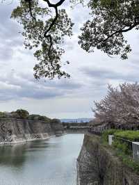 《日本大阪》大阪城天守閣