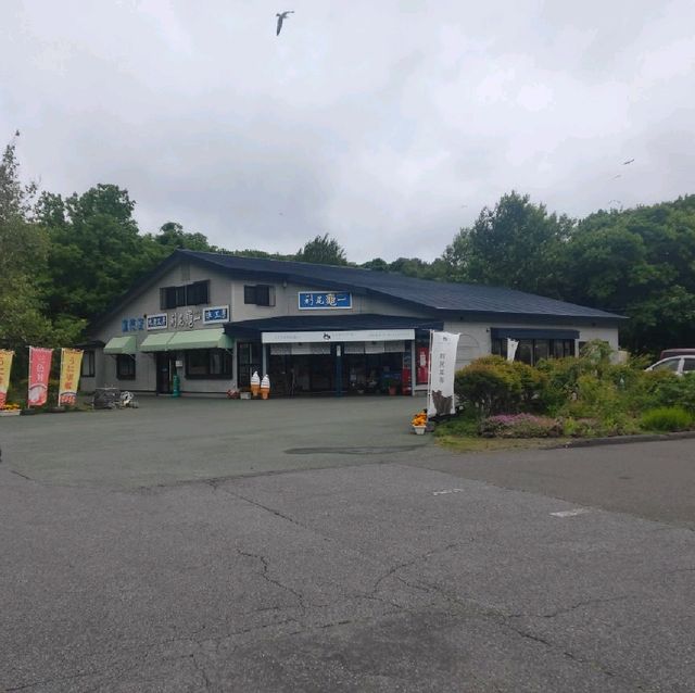 【利尻島】弾丸利尻島