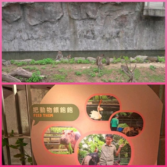 新竹市立動物園