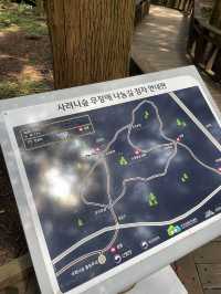뜨거운 해 피하기, 사려니 숲길