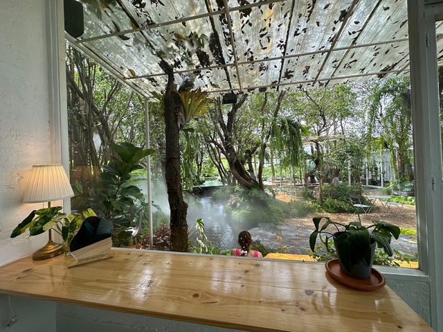 • TREE TIME Cafe &Garden ☕️✨