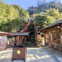 📍遠見岬神社/勝浦・千葉
