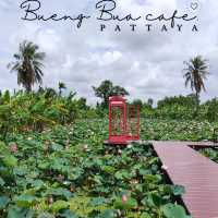 บึงบัว คาเฟ่ บรรยากาศ​ชิวๆ ริมบึงบัว 