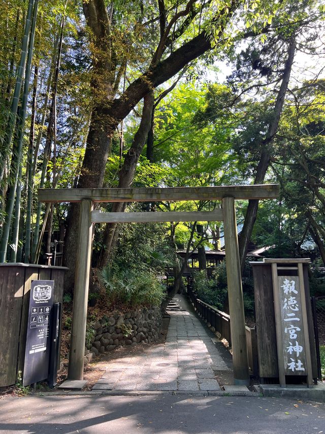 【小田原パワースポット】陽の光が心地良い報徳二宮神社