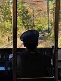 The Mountainside Railway - Hakone Train 