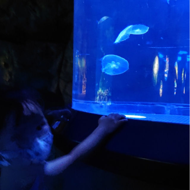 海洋公園萬豪酒店，海洋公園