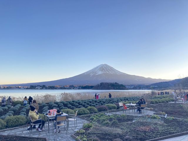 我在東京天氣晴 🌞