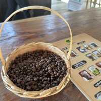 วิสาหกิจชุมชนบ้านสบขุ่น : กาแฟสร้างป่า