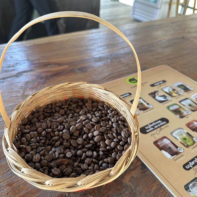 วิสาหกิจชุมชนบ้านสบขุ่น : กาแฟสร้างป่า