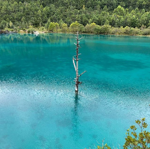 麗江藍月湖 碧綠仙景