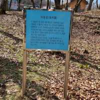 드라마 우영우 촬영지 관음사