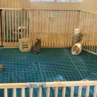 Pepular farm เปปูลาร์ฟาร์ม