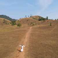 ภูเขาหญ้า