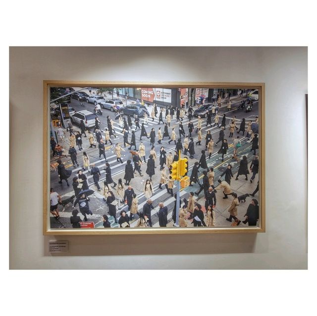 Pelle Cass靜態縮時攝影展。海港城美術館
