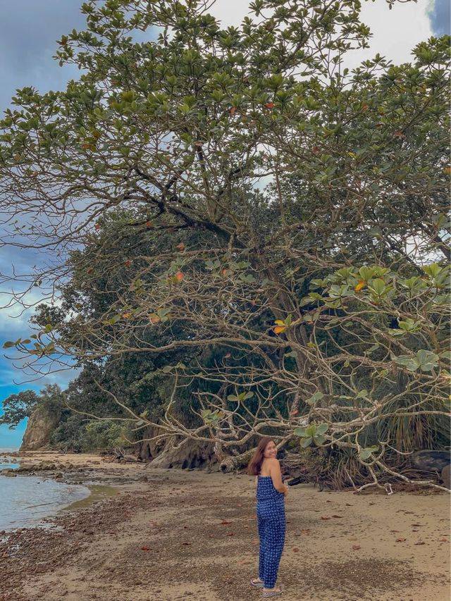 WHAT A CLEAN BEACH IT IS! ❤️