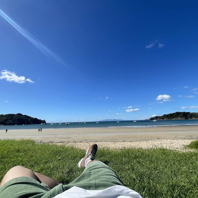 Waiheke island from visitor views!!!