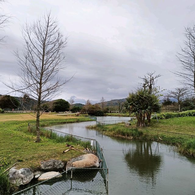 春天就像夏天的東海岸，是多麼蔚藍