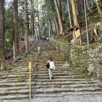 【和歌山】大迫力！間近で見られる大滝