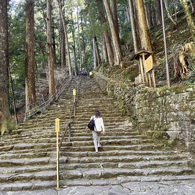 【和歌山】大迫力！間近で見られる大滝