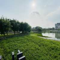 台糖生態湖 湧泉公園 (台糖湖濱生態園區)