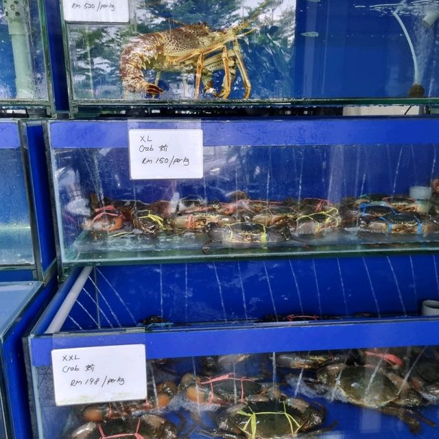Super Lobster in Desaru 🦞