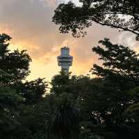 【横浜】夕方の港の見える丘公園で紫陽花散策