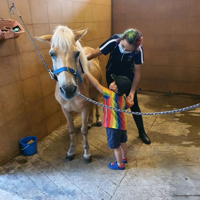 Fun With Horses At Gallop Stable 🐴