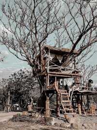 台灣熱門網紅必到開門見山樹屋咖啡Treehouse cafe☕️