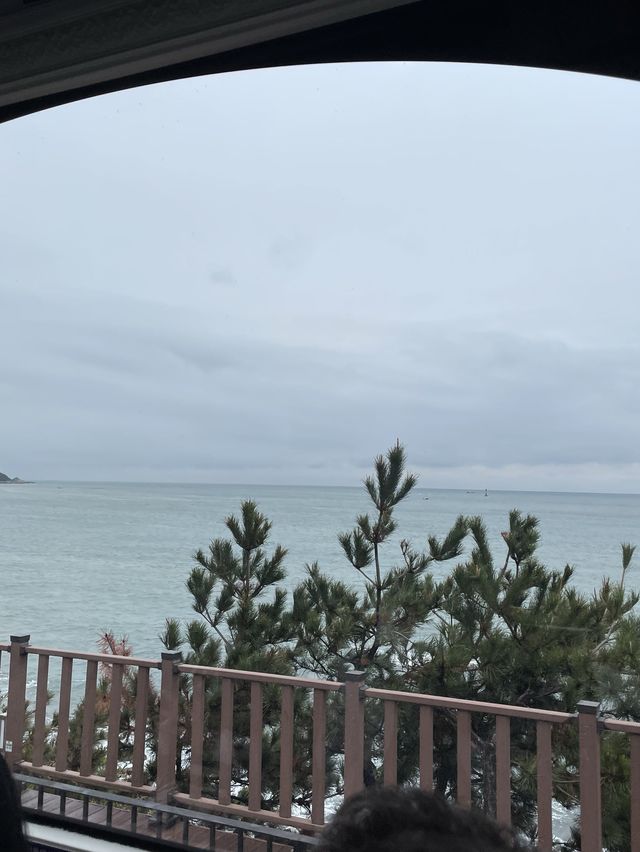 釜山新景點 - 海雲台藍線公園列車 天空膠囊列車及海岸列車