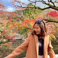 ทะเลสาปคินริน KINRIN LAKE, Oita, Japan