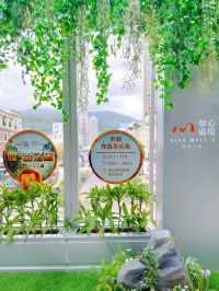 荃灣｜如心廣場｜夏日打卡好去處
