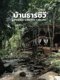 บ้านธารชีวี จ.เชียงใหม่ ที่พักสุดชิลริมลำธาร