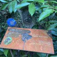 Entopia: Nature's Captivating Haven