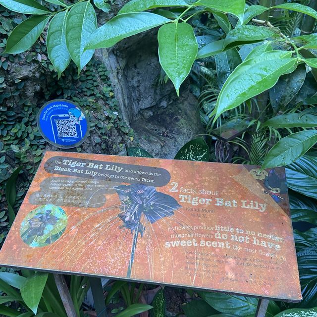 Entopia: Nature's Captivating Haven