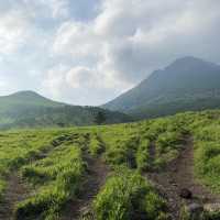 日本🇯🇵｜穿過綠地與森林，登上大分的｢富士山｣ 由布岳 ⛰️