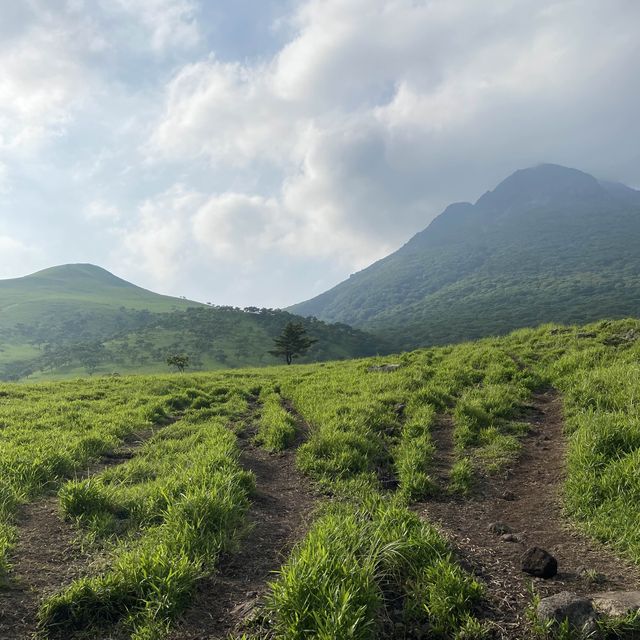 日本🇯🇵｜穿過綠地與森林，登上大分的｢富士山｣ 由布岳 ⛰️