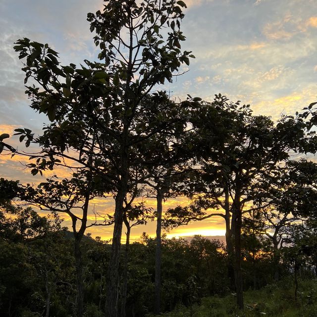 Taking in nature's splendours🧚‍♀️🤩