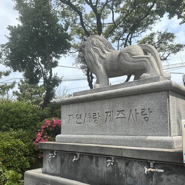 바다가 만든 용의 머리 🐲 제주 용두암