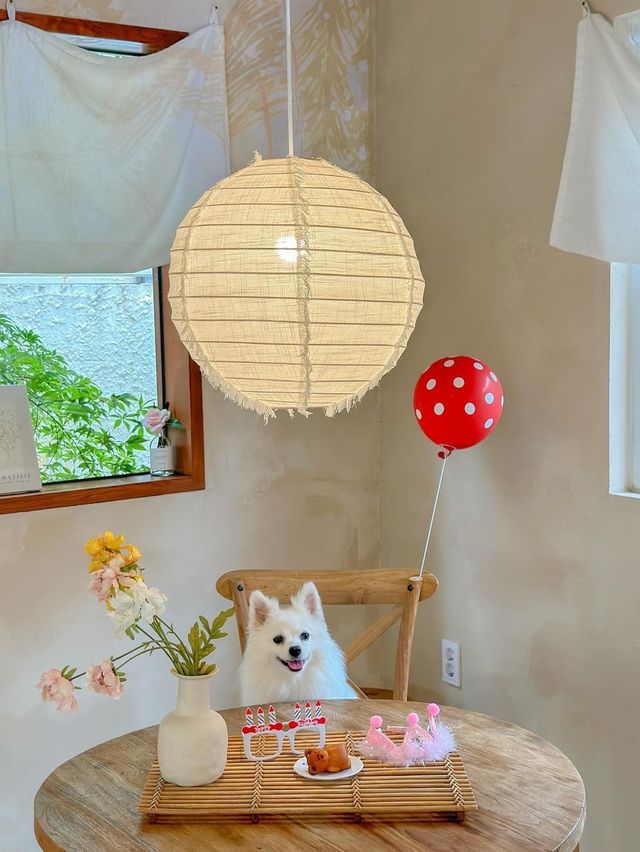 메이와 함께 감성 속으로 풍덩, 오늘의 우리 집🏡