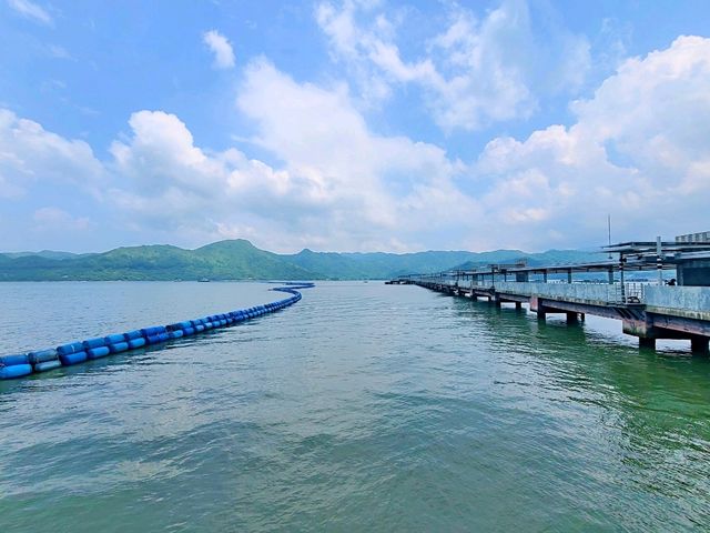 【香港最難踏足之禁地🚫~沙頭角🏞️】
